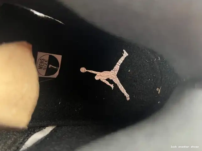 Reps LUCY 5 'WHITE JORDAN RETRO DD0587-110 AIR BLACK' 0509